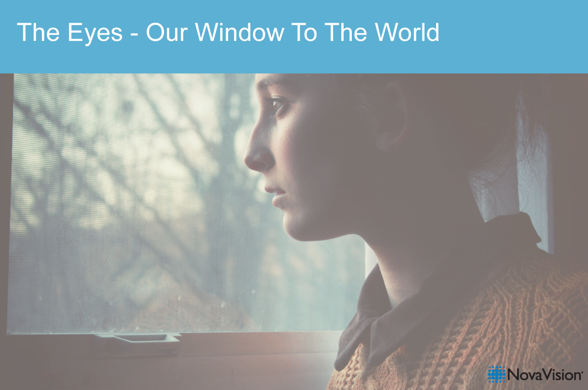 The Eyes – Our Window To The World
